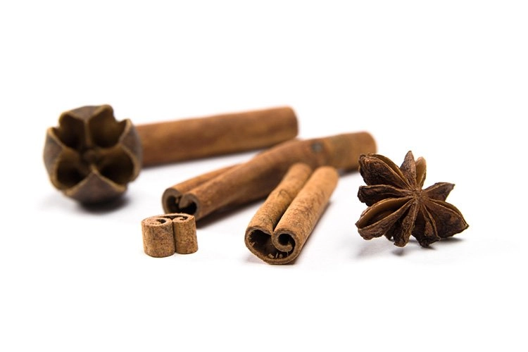 star anise with cinnamon sticks isolated on white