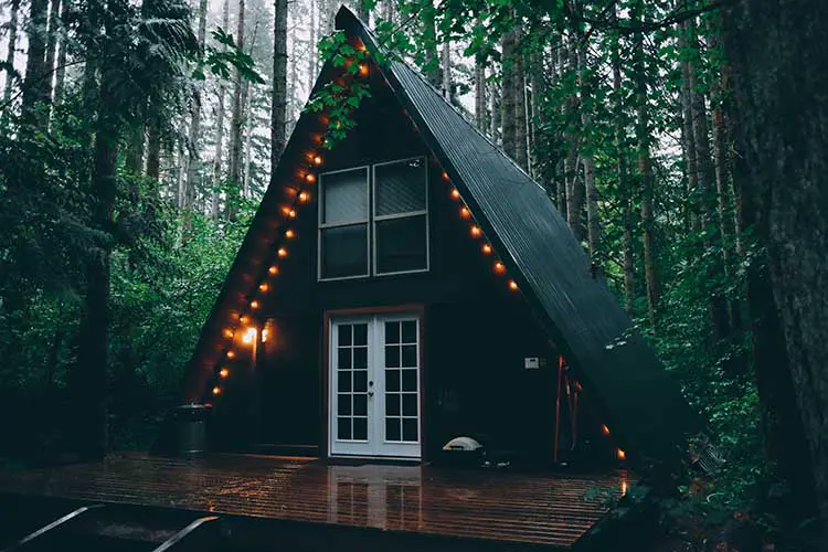 cabin, house, light bulbs, lights, forest, woods, nature, camping, trees, leaves cover