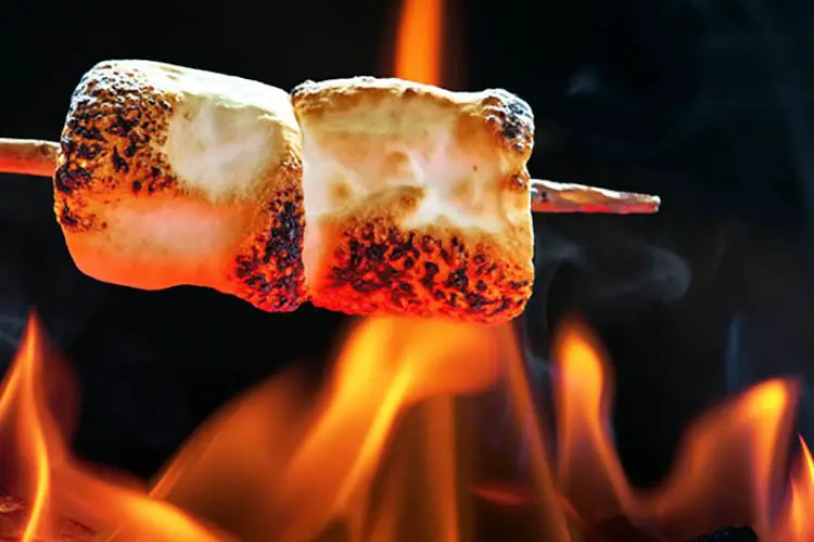 Two marshmallows roasting over fire flames. 