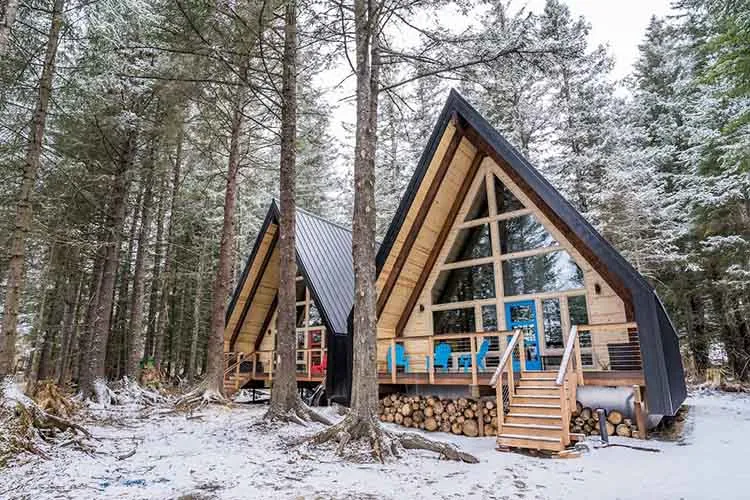 Salted Roots Blue Door A-Frame Cabin Design