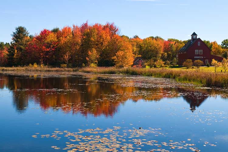 Autumn colors reflected in a pond near Dunbarton, New Hampshire