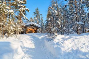 winter landscape in finland