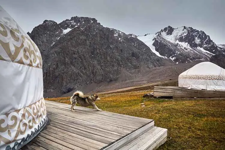 Hotel resort with white yurt house 