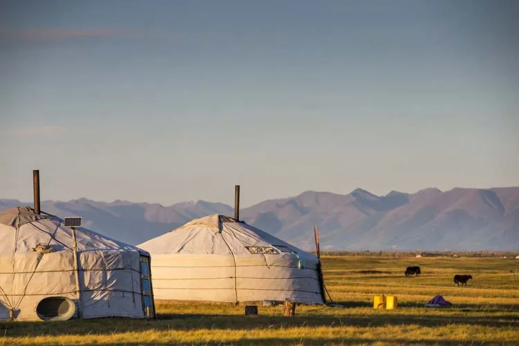 mongolian family gers