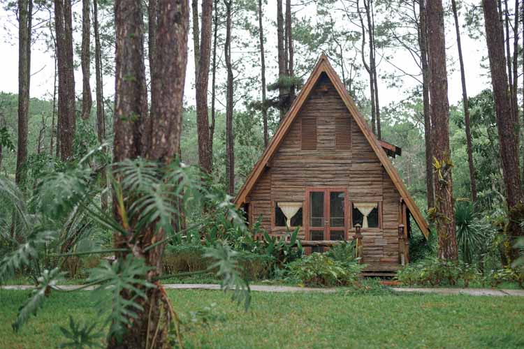 A wooden a-frame country house